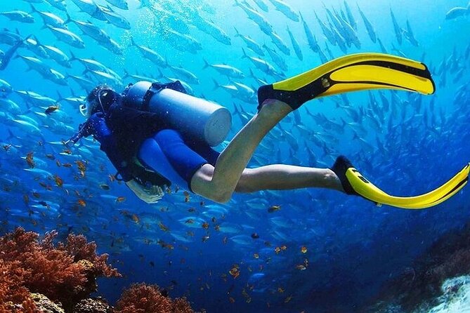 Intro Scuba Diving for beginners With (Lunch,Transfer) – Hurghada - Two Underwater Sessions on the Red Sea: More Than a One-Off