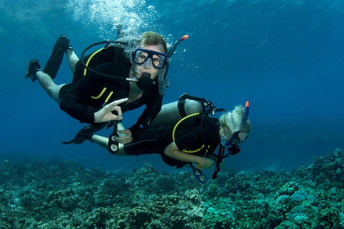 Intro Scuba Diving for beginners With (Lunch,Transfer) – Hurghada - The Lunch and Drinks Setup: A Real Break, Not a Token Snack