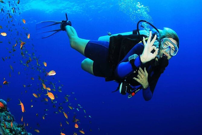 Intro Scuba Diving for beginners With (Lunch,Transfer) – Hurghada - Snorkeling Time Between Sessions: The Best Safety Net