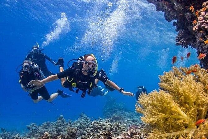 Intro Scuba Diving for beginners With (Lunch,Transfer) – Hurghada - Who Runs This Day: The Human Touch Makes It Easier