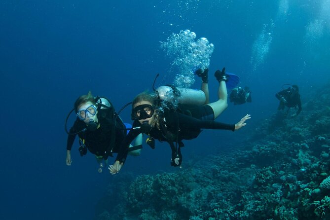 Intro Scuba Diving for beginners With (Lunch,Transfer) – Hurghada - Price and Logistics: Why This One Offers Good Value