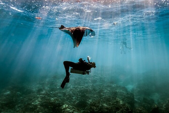 Intro Scuba Diving for beginners With (Lunch,Transfer) – Hurghada - Getting Gear, Life Jacket, and Confidence First