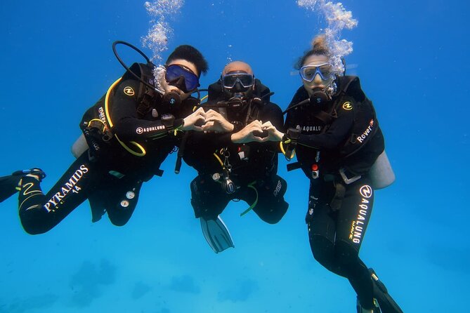 Introduction: Diving from the Reef in Sharm El Sheikh - Red Sea intro in Sharm el-Sheikh: what you get in 1 hour