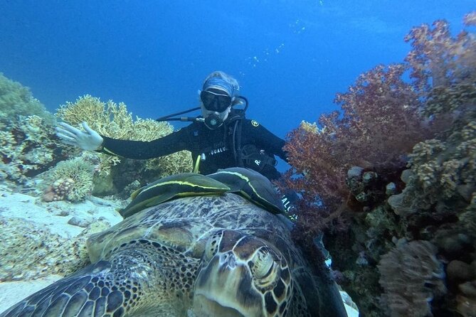 Introduction: Diving from the Reef in Sharm El Sheikh - Communication and pickup: why the experience feels smooth