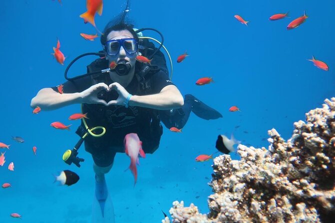 Introduction: Diving from the Reef in Sharm El Sheikh - PADI-led basics: how the instruction works for first-timers