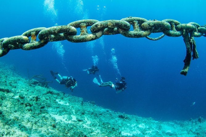 Introduction Shore Dive with Scubaçao (1 dive) - Your 3½-Hour Day, Step by Step (And What You’ll Actually Do)