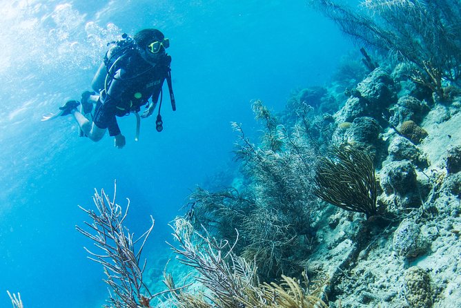 Introduction Shore Dive with Scubaçao (1 dive) - Gear, Equipment, and the Stuff You Don’t Need to Hunt Down