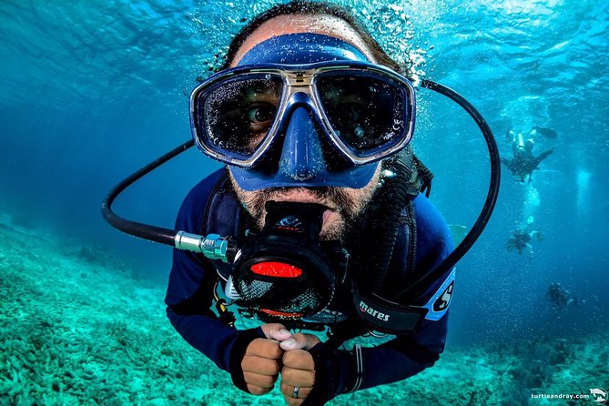 Introduction Shore Dive with Scubaçao (2 dives) - Key highlights I’d plan around