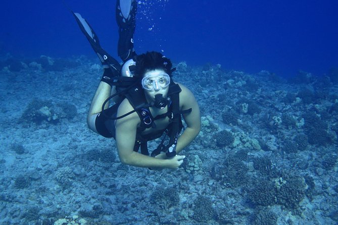 Introductory Beach Scuba Dive - Value Check: What You Get for a First-Time Experience