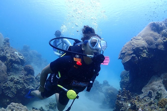 Introductory dive for non-certified divers - Key Highlights You’ll Care About