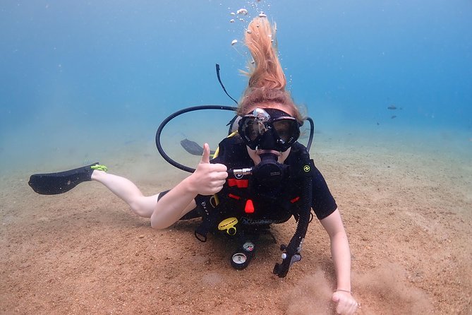 Introductory dive for non-certified divers - Photos You Can Actually Use (Not Just a Teaser)
