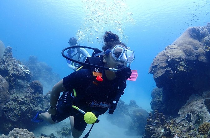 Introductory dive for non-certified divers - Transfers Around Koh Samui: Smooth North/East Pickup, Extra West/South Fee