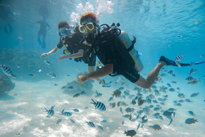 Introductory Dive in Bora Bora (afternoon) - Matira meeting point and the afternoon timing that helps