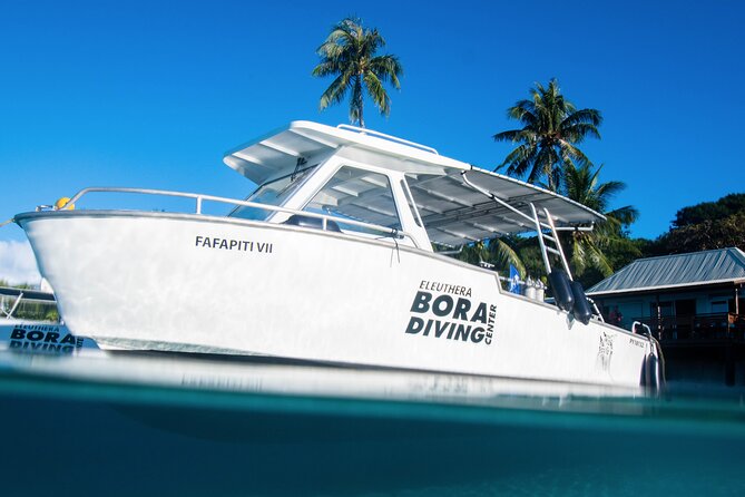 Introductory Dive in Bora Bora (afternoon) - Should you book this intro scuba session in Bora Bora?