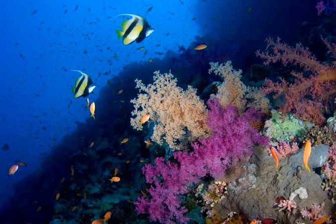 Introductory Dive in Eilat - The PADI lesson, equipment setup, and the safety basics