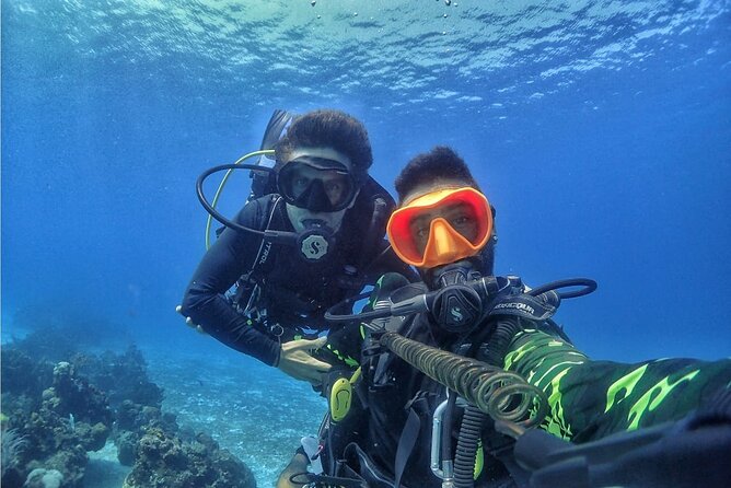 Introductory Diving Class in the Cozumel Reefs - Intro Scuba in Cozumel: Why This Format Works for First-Timers