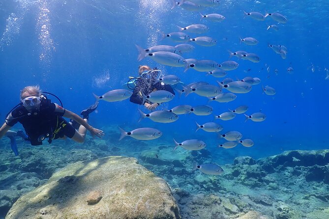Introductory diving in small groups - Who should book this intro session in Protaras