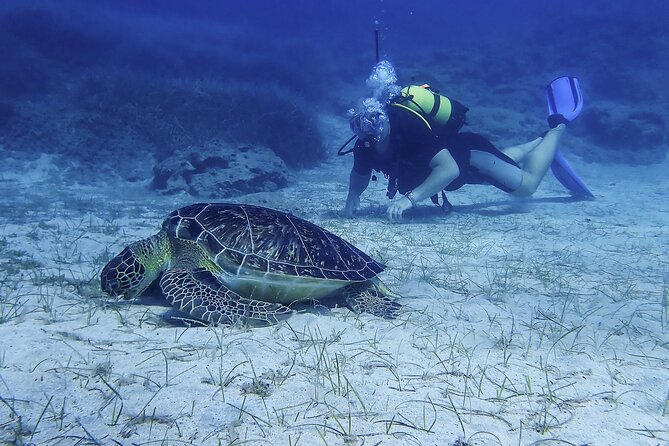 Introductory diving in small groups - Should you book this intro scuba session in Protaras?