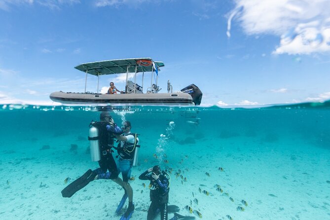 Introductory Scuba Diving Experience in Bora Bora - Key Points to Know Before You Go
