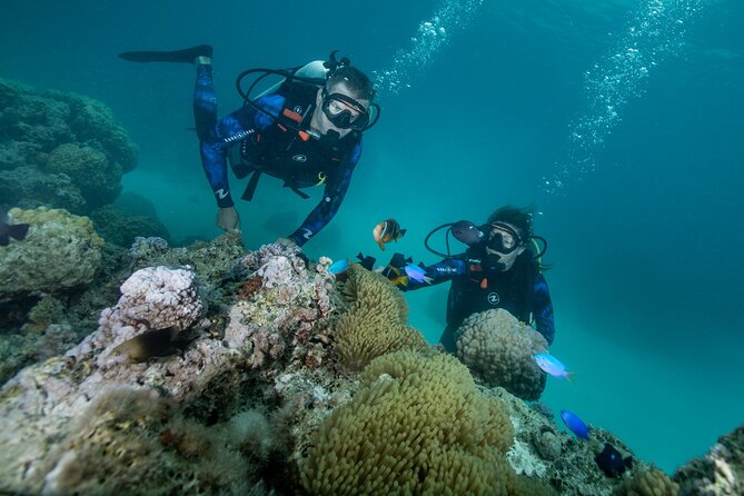 Introductory Scuba Diving Experience in Bora Bora - Reef-Protected Warm Water Makes Learning Feel Safer