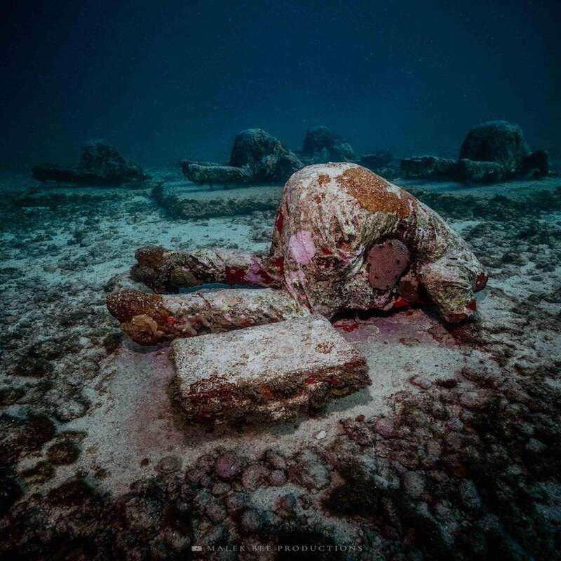 Isla Mujeres: MUSA and the Manchones Reef: 2 Tank Dive Tour - Key moments you’ll remember