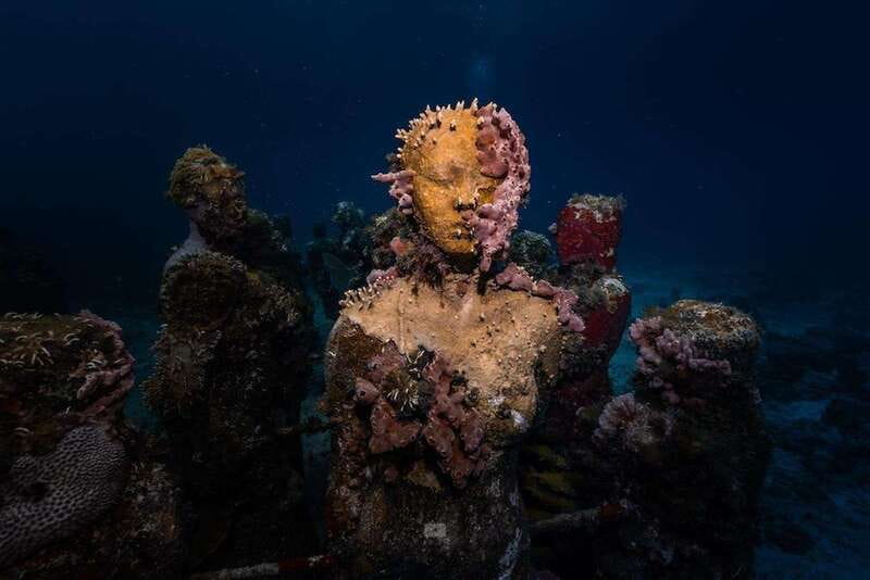 Isla Mujeres: MUSA and the Manchones Reef: 2 Tank Dive Tour - Manchones Reef life: fish schools and calm predators