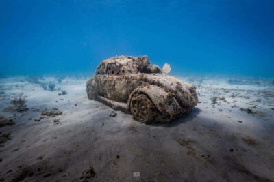 Isla Mujeres: MUSA and the Manchones Reef: 2 Tank Dive Tour - MUSA: Jason deCaires Taylor’s underwater art, up close