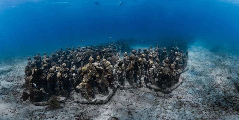 Isla Mujeres: MUSA and the Manchones Reef: 2 Tank Dive Tour - Price and value: is $125 fair for two tanks?