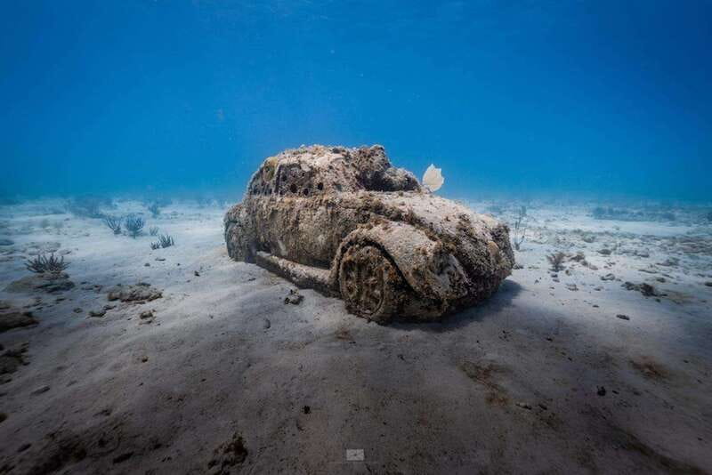 Isla Mujeres: MUSA and the Manchones Reef: 2 Tank Dive Tour - MUSA: Jason deCaires Taylor’s underwater art, up close
