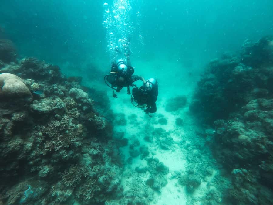 Jeddah: Red sea shore diving (Discovery) - Red Sea Scuba at Blue Reef: What the 210 Minutes Actually Feels Like