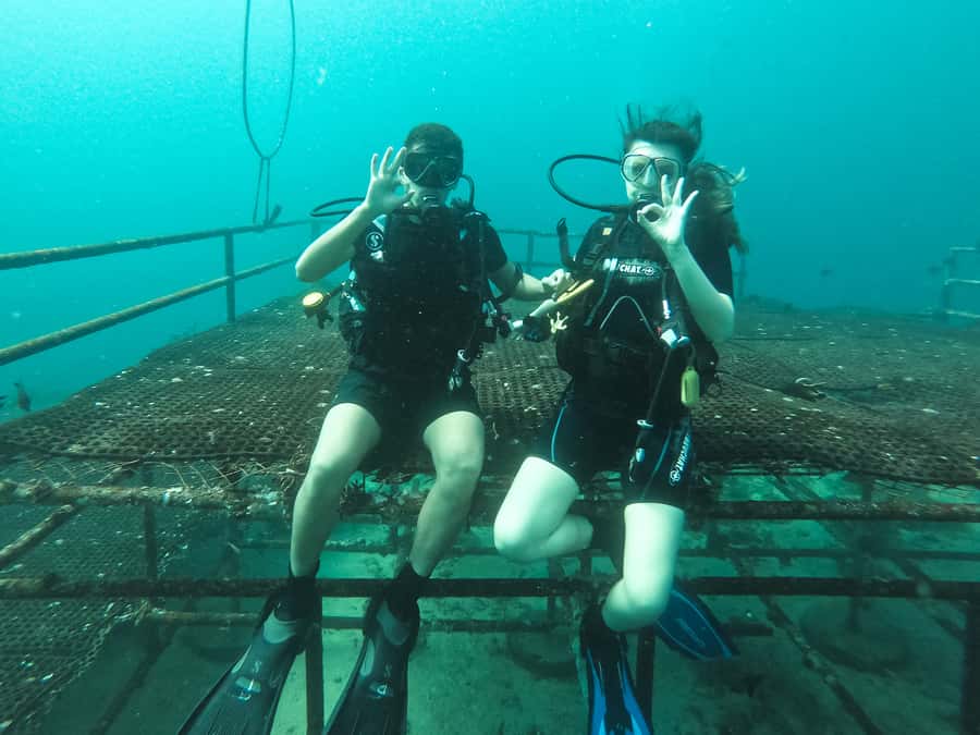 Jeddah: Red sea shore diving (Discovery) - Blue Reef Starter Time: Comfort Before You Go Down