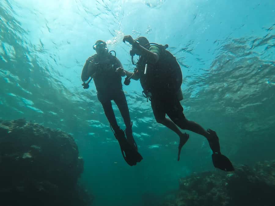 Jeddah: Red sea shore diving (Discovery) - Pickup at Bhadur Resort: A Simple Start With One Important Detail