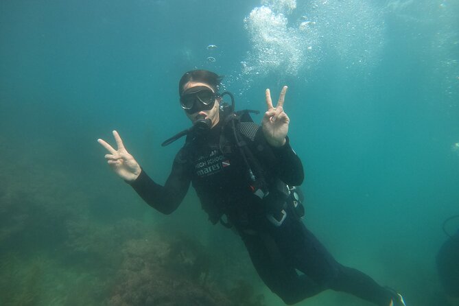 Jeju Island, Seongsan Ilchulbong, Discover Scuba Diving - What You’ll Actually See: Plants, Fish, and Lava Traces