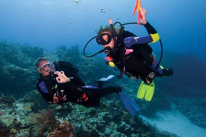Join our Daily Diving Trip with 2 dives Transfer & Lunch-Hurghada - Price and Real Extras: Figuring Out Your Total Cost