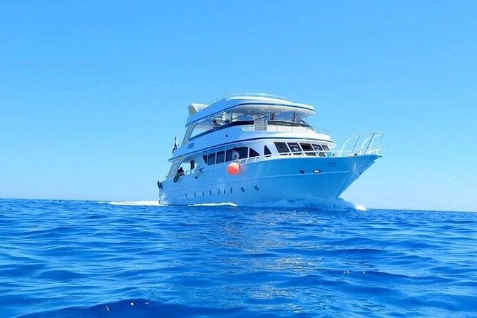 Join our Daily Diving Trip with 2 dives Transfer & Lunch-Hurghada - Booking Checklist: Questions to Ask Before You Go