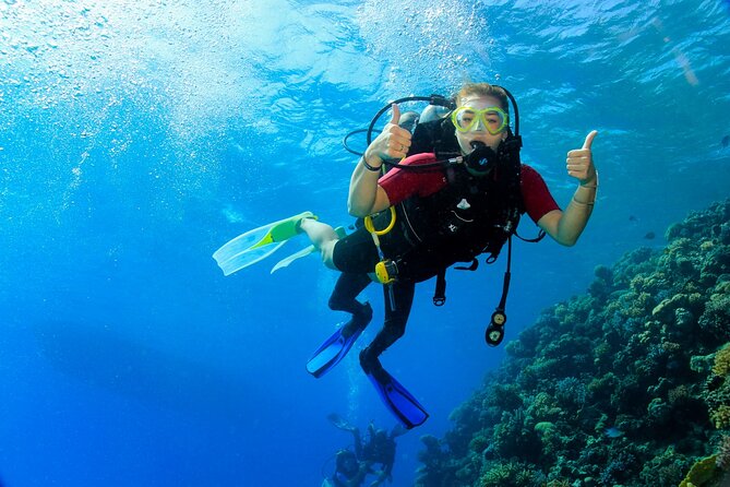 Join our Daily Diving Trip with 2 dives Transfer & Lunch-Hurghada - Choosing Two Underwater Sessions In Different Spots