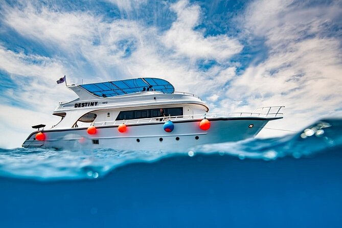 Journey of Diving or Snorkelling from a Boat - Key Highlights You’ll Actually Feel