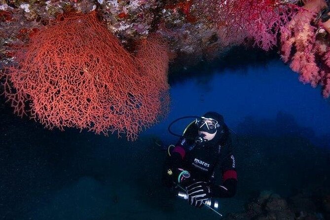 Journey of Diving or Snorkelling from a Boat - Ayla Marina To Open-Water: What You’re Signing Up For