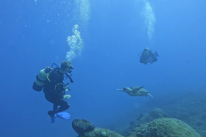 Jubilee Shoals guided boat dives - Jubilee Shoals: what you’re paying for under the water