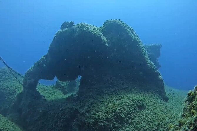 Jubilee Shoals guided boat dives - Small group guidance and English-speaking clarity