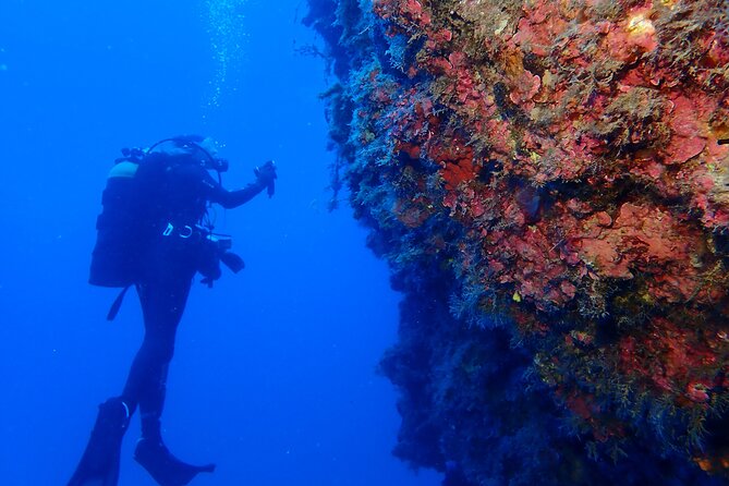 Jubilee Shoals guided boat dives - Price and value: is $192.66 per person worth it?