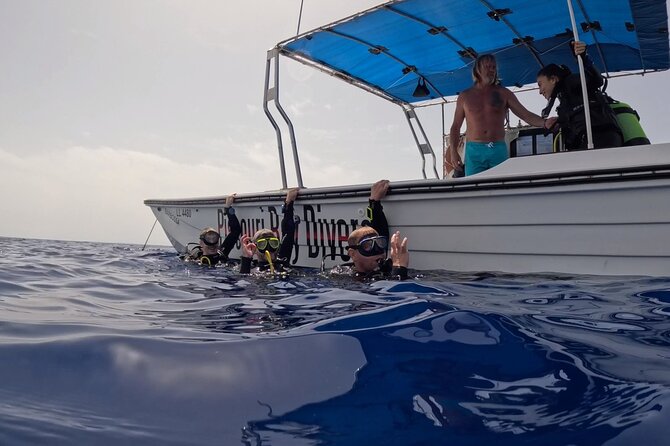 Jubilee Shoals guided boat dives - When bookings go wrong, good operators show up