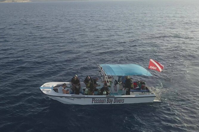 Jubilee Shoals guided boat dives - Who should book this Jubilee Shoals morning