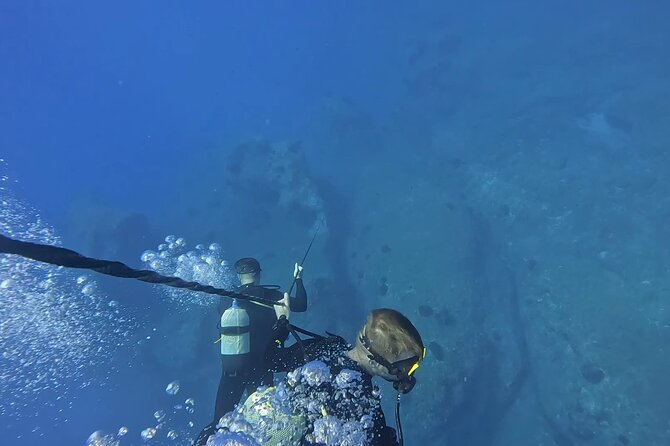 Jubilee Shoals guided boat dives - Barbossa and the plan for two underwater sessions