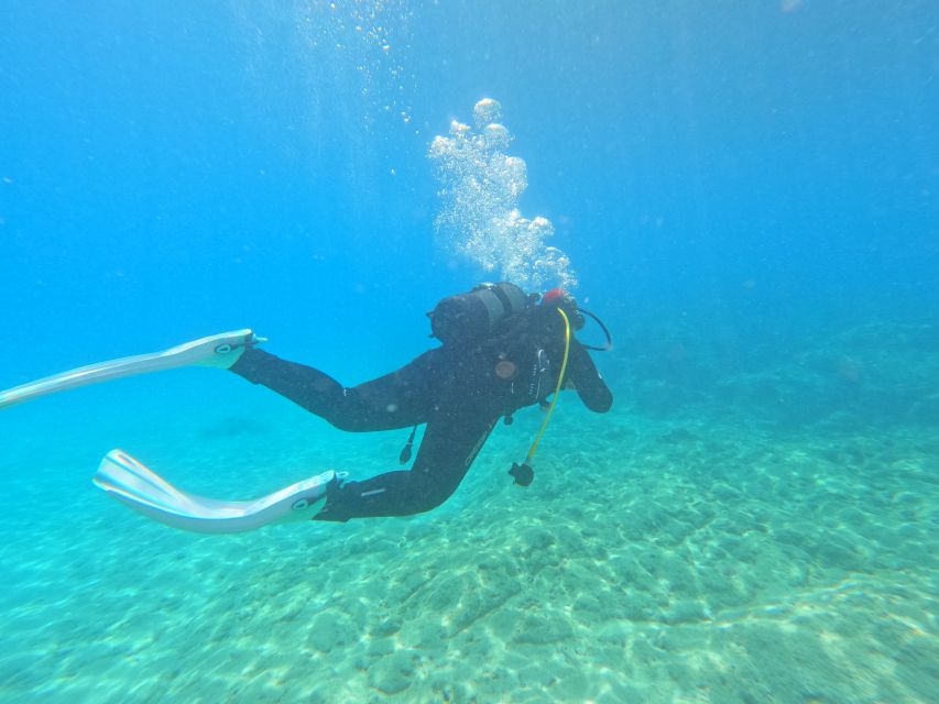 Kas: Scuba Diving Experience - Wildlife and Scenery Logic: Islands, Reefs, and Why It Works for Beginners