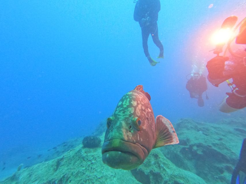 Kas: Scuba Diving Experience - If You’re Certified: More Freedom, More Depth Options