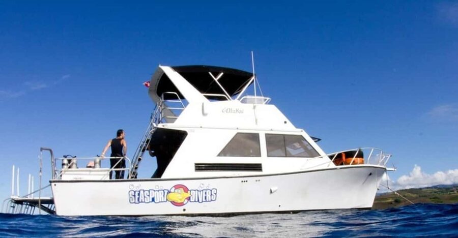 Kauai: 2 Tank Afternoon Dive - Two underwater stops at 40–60 feet: what you can expect to see