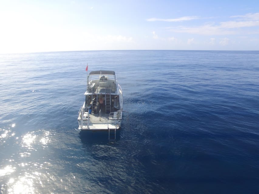Kauai: Morning 2 Tank Boat Dive for Experienced Divers - Price and Value at $259: Where the Money Goes