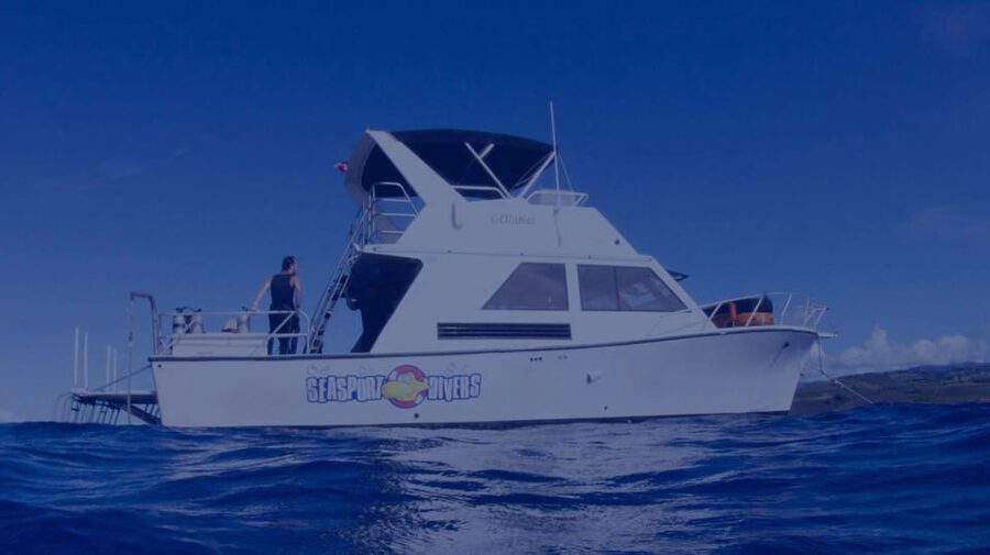 Kauai: Morning 2 Tank Boat Dive for Experienced Divers - Should You Book This Two-Tank Morning Boat Trip?