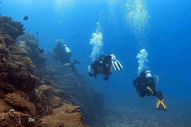 Kauai's Exclusive Morning Scuba Charter for Experienced Divers - Included Perks That Make a 4.5-Hour Morning Feel Easier